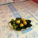 Bushi Rooms- Garden And Free Parking Near Vendégház