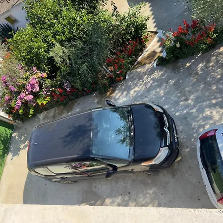 Affittacamere Bushi Rooms- Garden And Free Parking Near Durrës