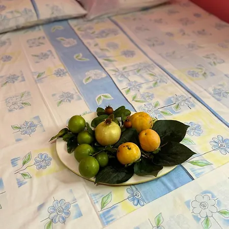 Bushi Rooms- Garden And Free Parking Near Vendégház