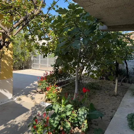 Bushi Rooms- Garden And Free Parking Near * Durres