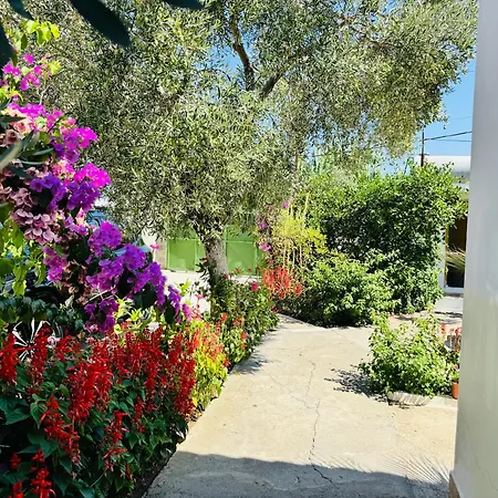 Bushi Rooms- Garden And Free Parking Near