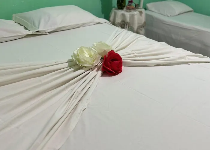 Bushi Rooms- Garden And Free Parking Near *