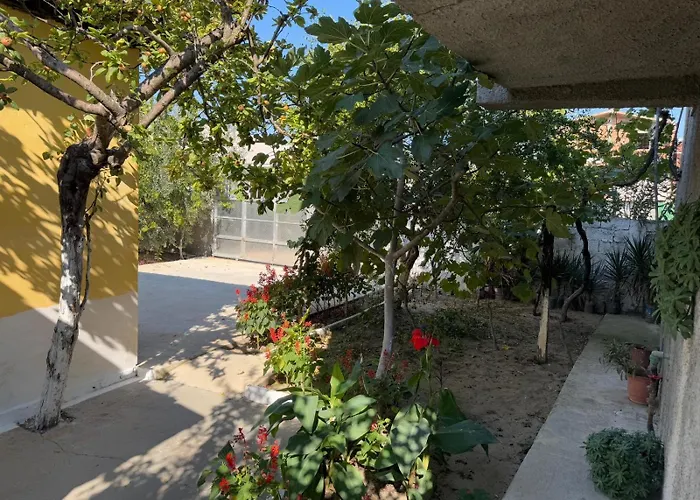 Bushi Rooms- Garden And Free Parking Near * Durres